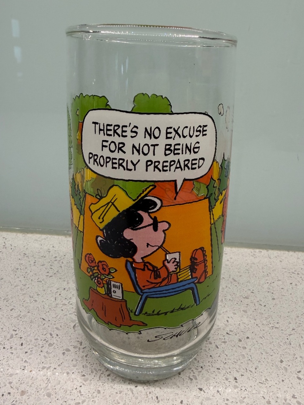 VINTAGE SNOOPY GLASS - MCDONALD'S